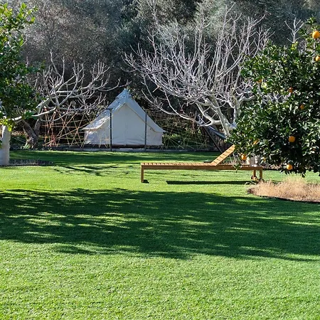 Campingplatz Geometry Park Glamping *